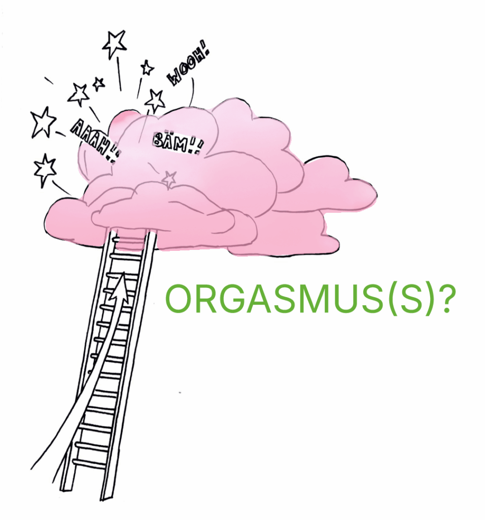 eine Leiter führt zu einer rosa Wolke, aus der Sterne explodieren. Das Wort "Orgasmus?" ist in grüner Schrift zu lesen